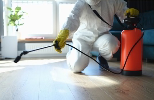Pest Control