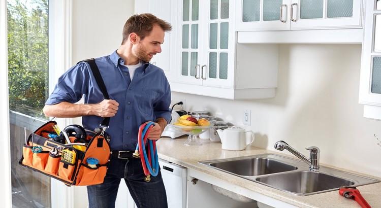 I will do all handy work in your house
